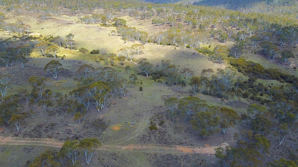 Click to view all images Lot 84 Parkers Road Peak View NSW 2630 - Image 2