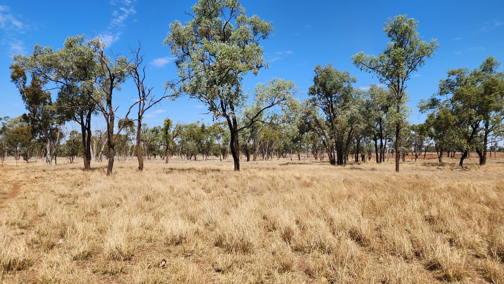 Click to view all images 3930 MIDDLE ROAD Mitchell QLD 4465 - Image 3