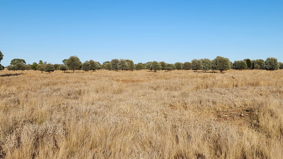 Click to view all images 3930 MIDDLE ROAD Mitchell QLD 4465 - Image 1