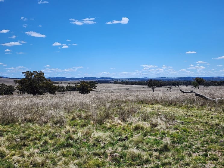 Click to view all images Lot 11 Pikedale Lane Stanthorpe QLD 4380 - Image 1