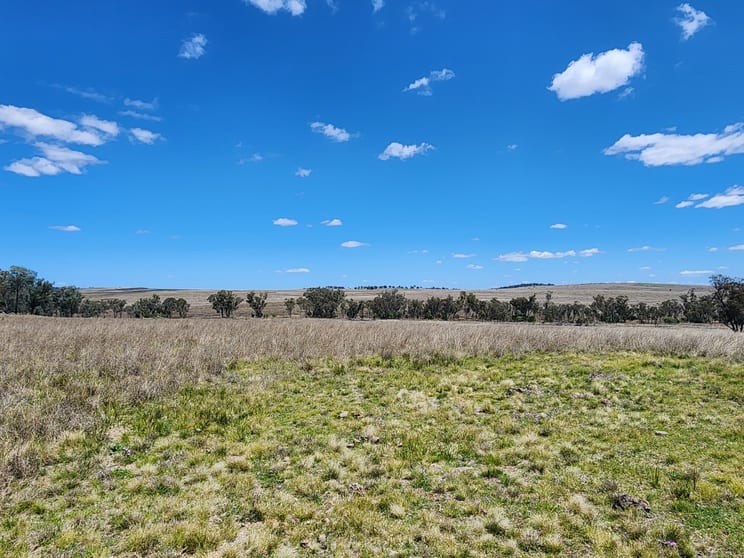 Click to view all images Lot 11 Pikedale Lane Stanthorpe QLD 4380 - Image 2