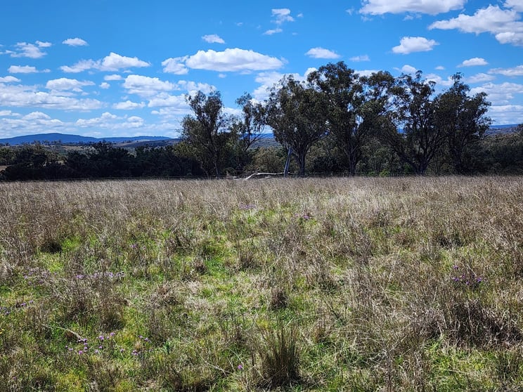 Click to view all images Lot 11 Pikedale Lane Stanthorpe QLD 4380 - Image 3