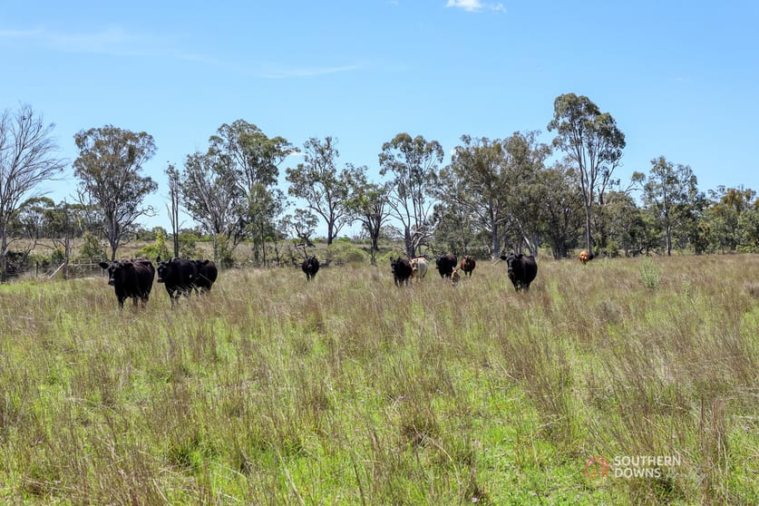 Click to view all images 140 Wickhams Road Karara QLD 4352 - Image 3