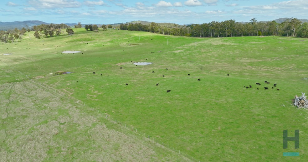 Click to view all images 320 Buchan South Buchan South Buchan South VIC 3885 - Image 2