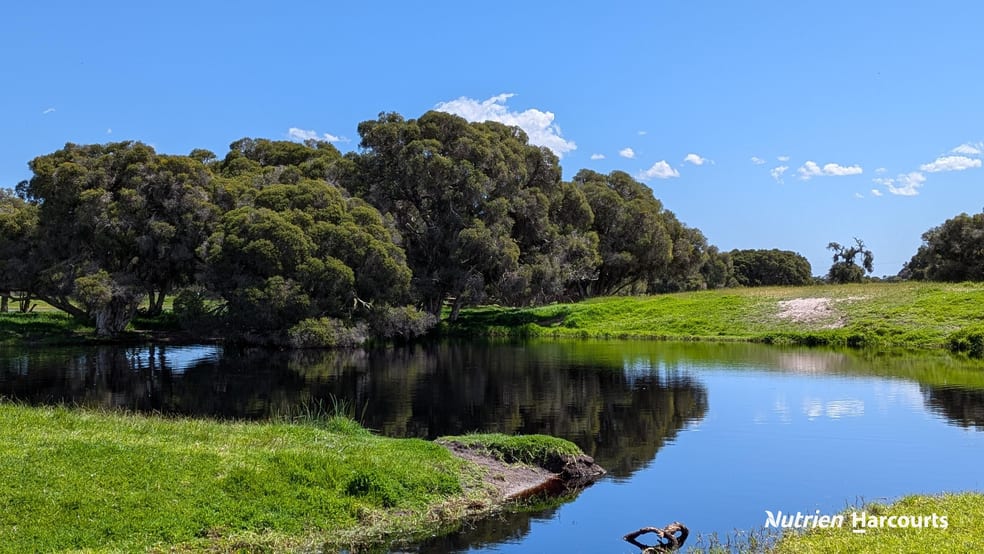 139 Coonabidgee Road Coonabidgee WA 6503 - Image 2