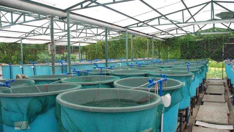 Click to view all images Wholesale business for sale in Newcastle - Image 3