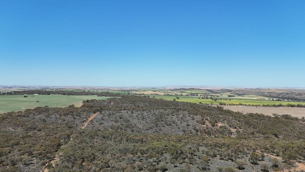 Click to view all images 'Beetaloo' Bundock Parade Beetaloo Valley SA 5523 - Image 3