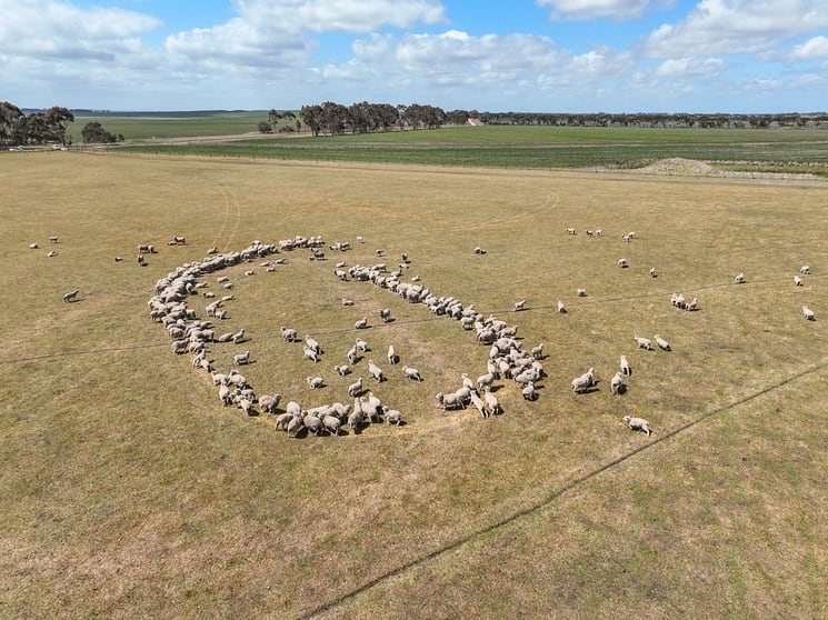 Click to view all images Foxhow-Cressy Road Duverney VIC 3323 - Image 2