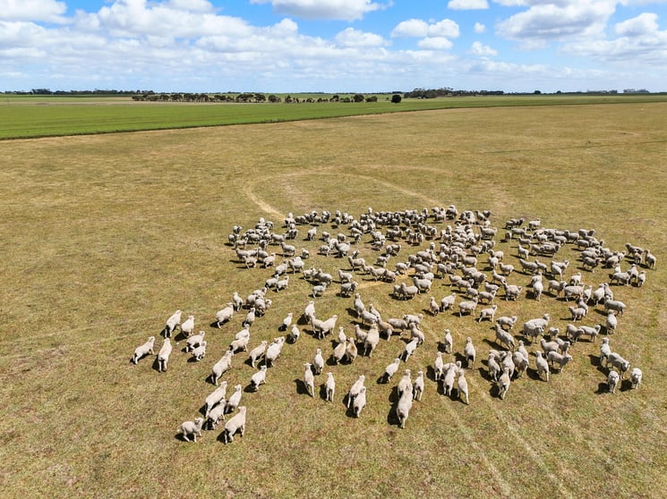 Click to view all images Foxhow-Cressy Road Duverney VIC 3323 - Image 3