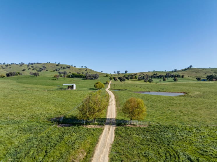 367 Nimbo Road Tumut NSW 2720 - Image 2