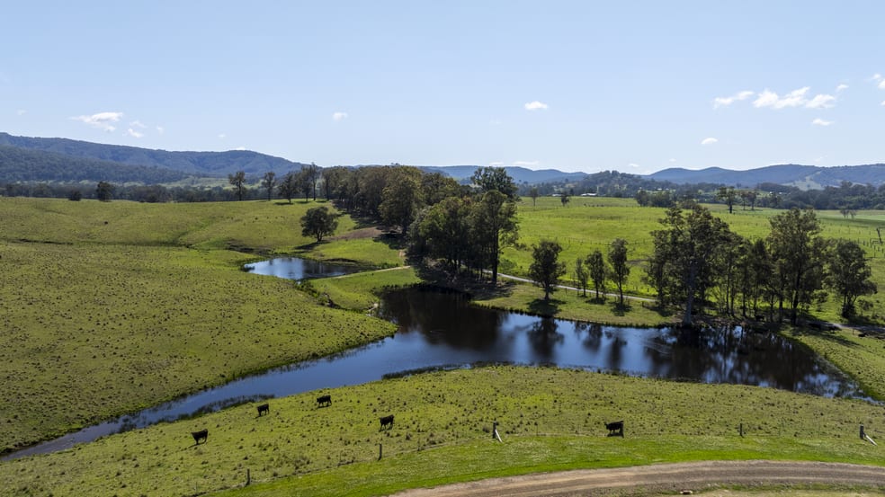 Click to view all images Lot 47 Fosterton Road Dungog NSW 2420 - Image 1