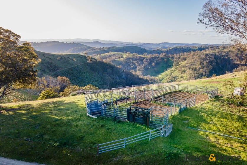 Click to view all images Lot 1/2553 Campfire Road Walcha NSW 2354 - Image 2