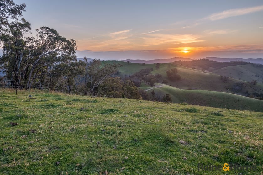 Click to view all images Lot 1/2553 Campfire Road Walcha NSW 2354 - Image 3