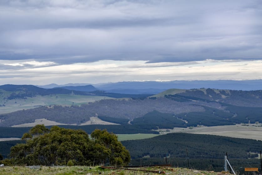 Click to view all images "Lark Ridge" Corrowong Road Corrowong NSW 2633 - Image 1