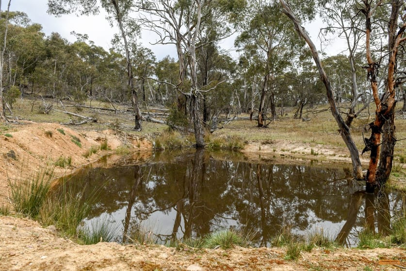 Click to view all images "Lark Ridge" Corrowong Road Corrowong NSW 2633 - Image 2