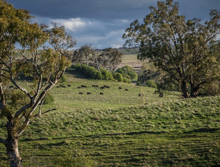 69 Roseberry Road Taralga NSW 2580 - Image 3