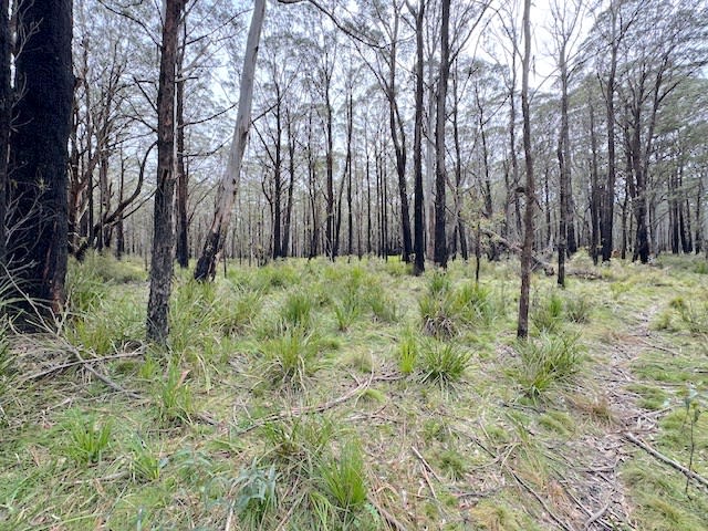 Click to view all images 12 Langs Road Wombeyan Caves NSW 2580 - Image 3