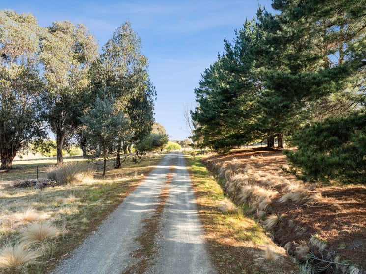 61 Range Rd Bungendore NSW 2621 - Image 2