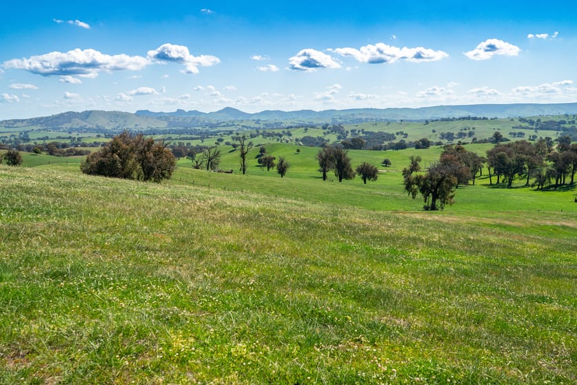Click to view all images 13759 Hume Highway Mullengandra NSW 2644 - Image 2