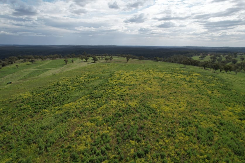 Click to view all images Merriwa NSW 2329 - Image 1
