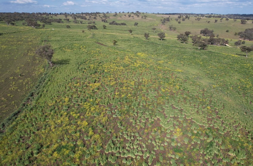 Click to view all images Merriwa NSW 2329 - Image 2