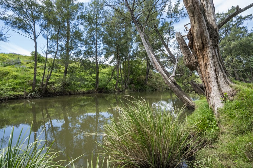 Click to view all images 673 Summer Hill Road Vacy NSW 2421 - Image 2