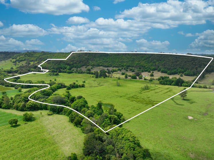 Click to view all images 1205 Nimbin Road Koonorigan NSW 2480 - Image 2