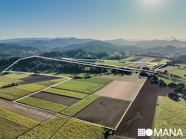196 Pottsville Road Mooball NSW 2483 - Image 3
