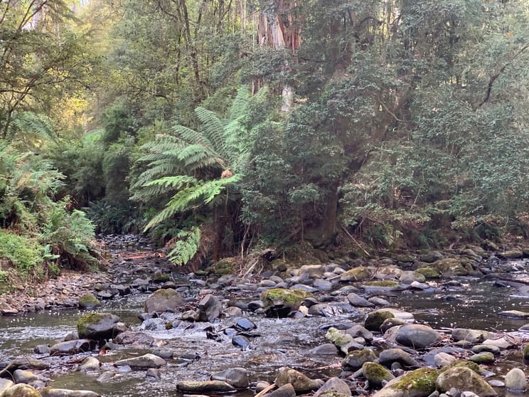 Click to view all images 785 Foster Mount Best Rd Mount Best VIC 3960 - Image 2