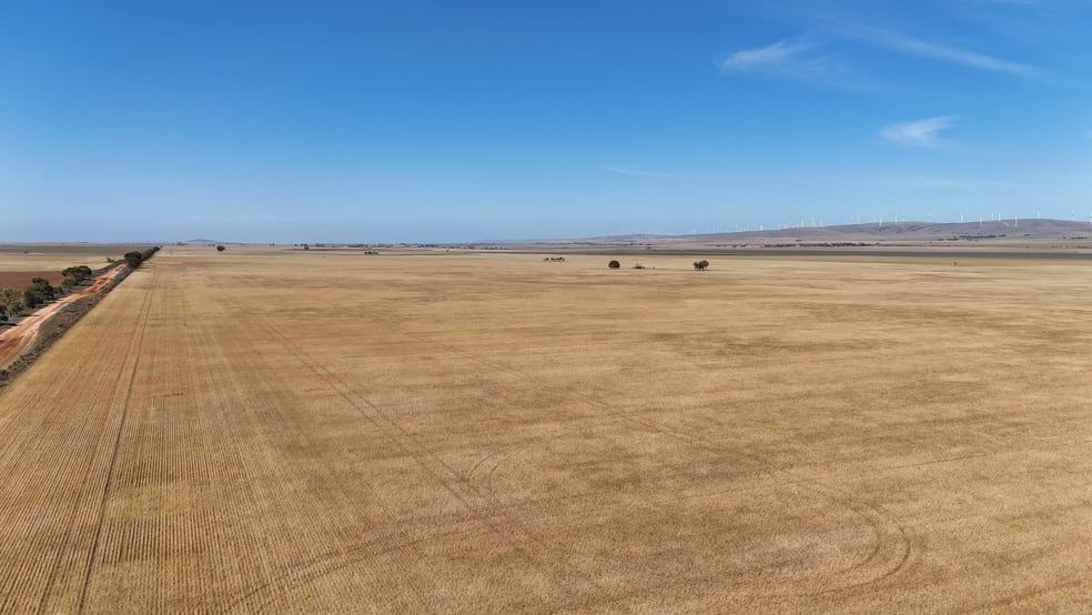 Click to view all images Section 31 Collinsfield Road Koolunga SA 5464 - Image 1