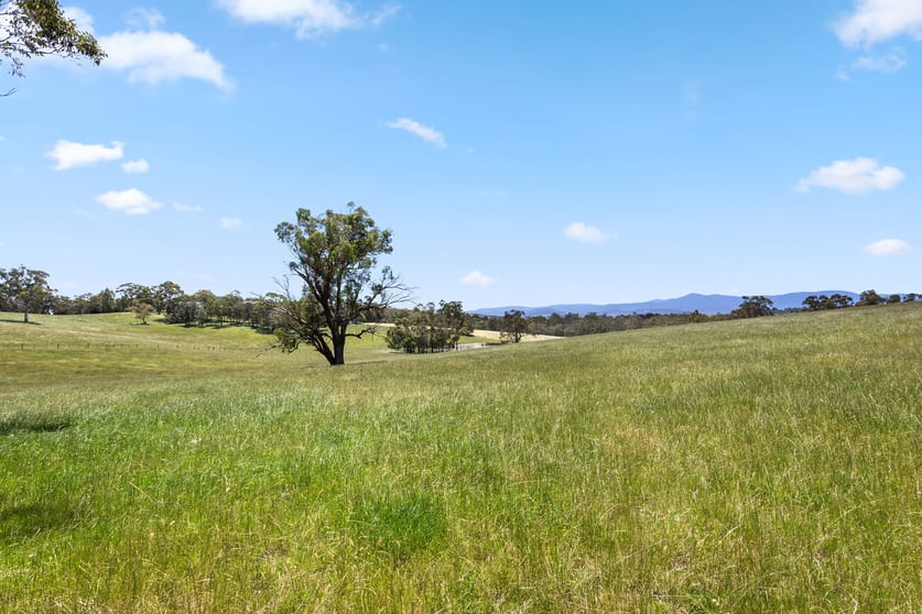 52 Gruyere Road Gruyere VIC 3770 - Image 3