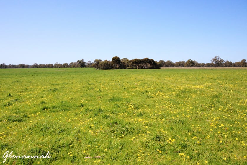 Click to view all images Naracoorte SA 5271 - Image 2
