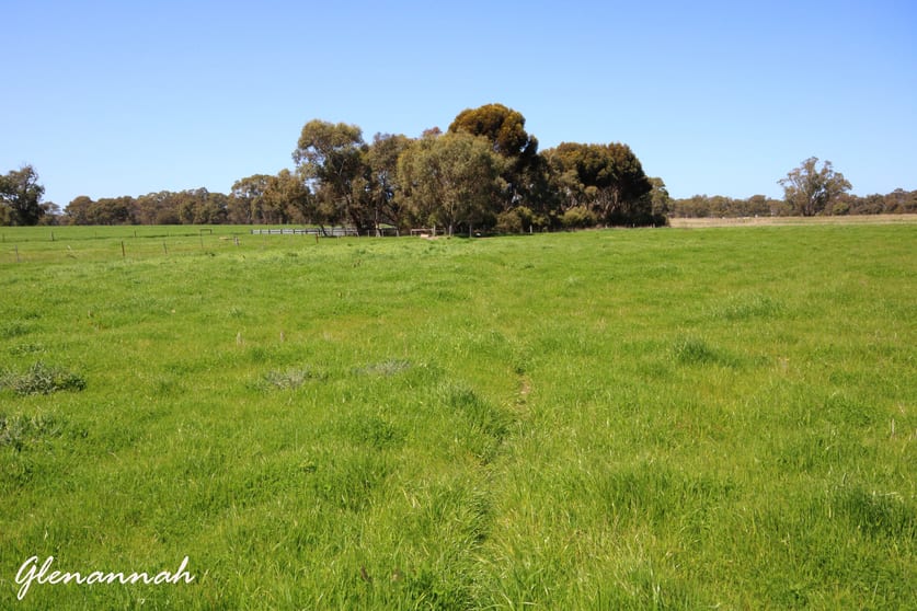Click to view all images Naracoorte SA 5271 - Image 3