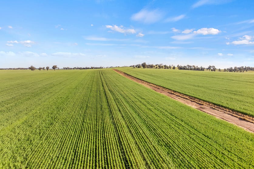 Click to view all images 1510 Weedallion Road Young NSW 2594 - Image 3