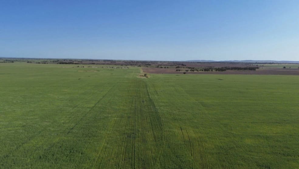 12056 Mullewa-Wubin Road Perenjori WA 6620 - Image 1
