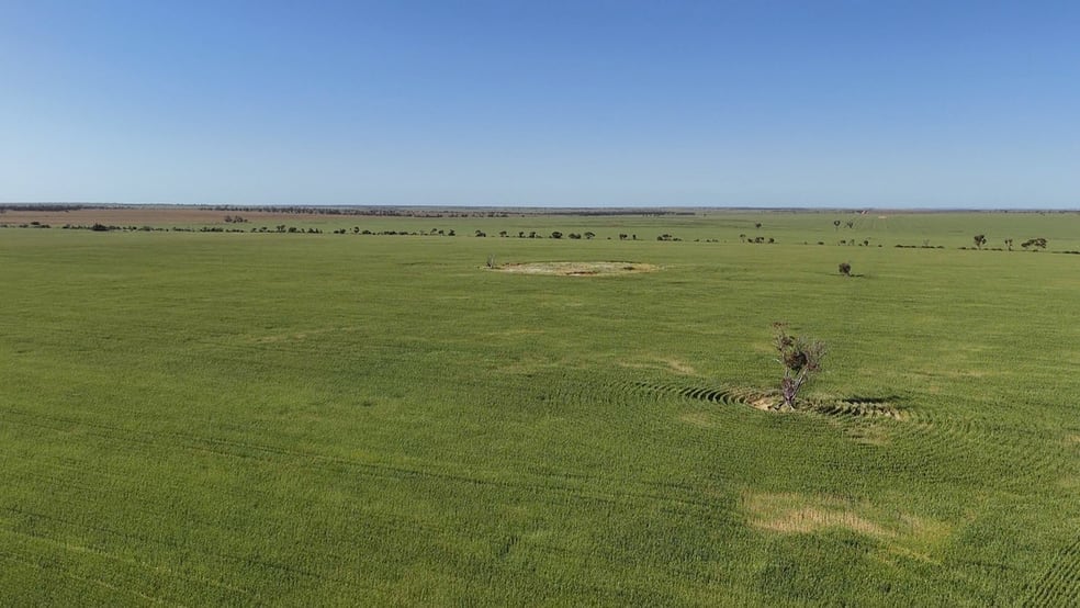 12056 Mullewa-Wubin Road Perenjori WA 6620 - Image 2
