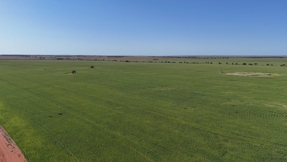 12056 Mullewa-Wubin Road Perenjori WA 6620 - Image 3