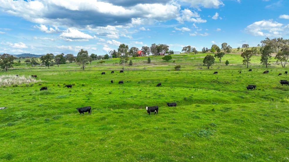 Click to view all images 457 Gap Road Werris Creek NSW 2341 - Image 2