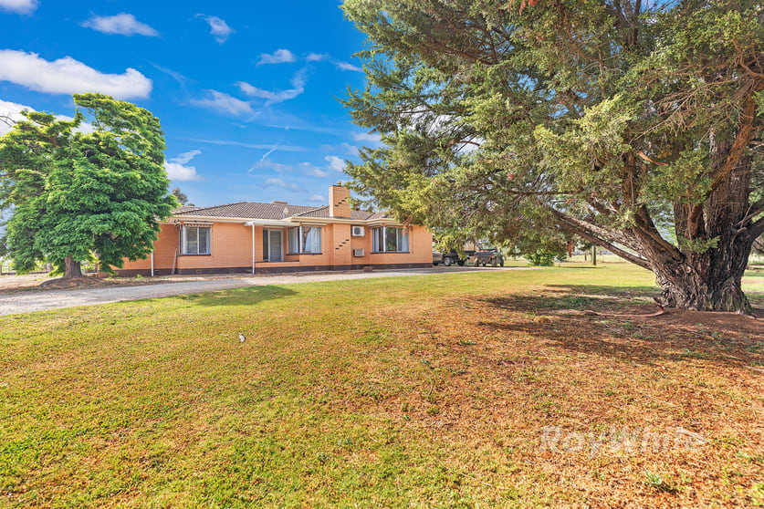 Click to view all images 1239 McBain Road Tongala VIC 3621 - Image 3