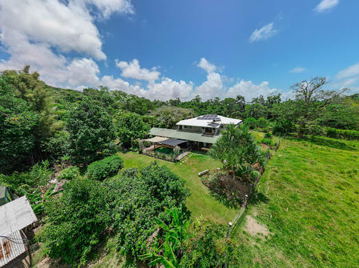 582 Bingil Bay Road Bingil Bay QLD 4852 - Image 2