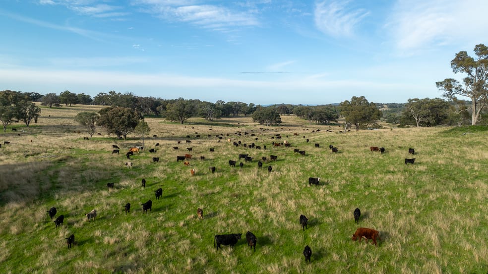 Click to view all images 874 Ramah Road Guyra NSW 2365 - Image 3