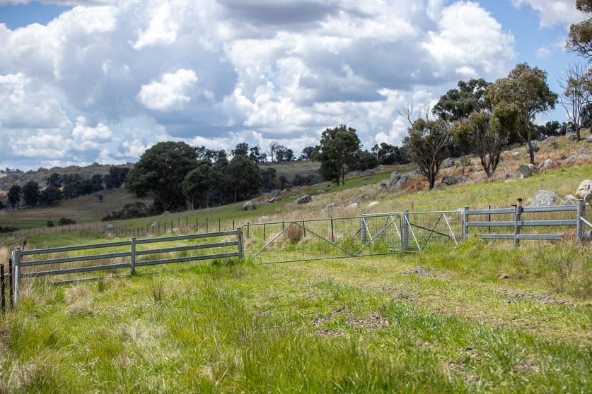 Click to view all images 1546 Baldersleigh Road Guyra NSW 2365 - Image 2