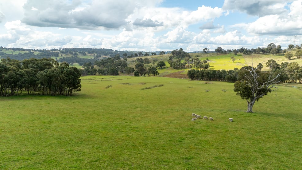 Click to view all images 1546 Baldersleigh Road Guyra NSW 2365 - Image 3
