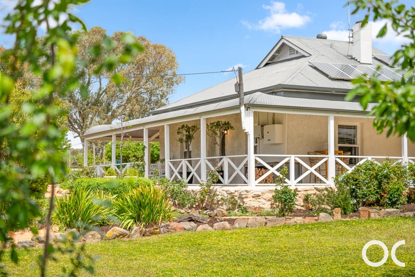 Click to view all images 115 Sugar Loaf Hill Road Mount Mckenzie SA 5353 - Image 1