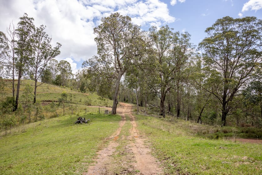 Lot 59 Enfield Range Road Cooplacurripa NSW 2424 - Image 3