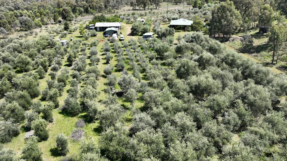 Click to view all images 20 Kurrajong Road Coonabarabran NSW 2357 - Image 3