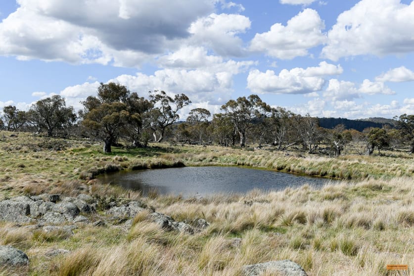 Click to view all images "Westons" 282 Hilltop Road Hill Top NSW 2628 - Image 2