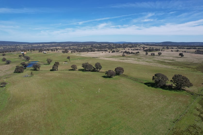 424 Trebane Road Crowther NSW 2803 - Image 3