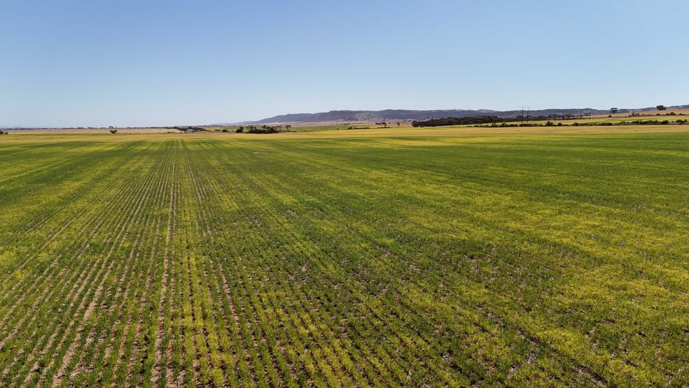 Click to view all images Allotment 78 Augusta Highway Crystal Brook SA 5523 - Image 1