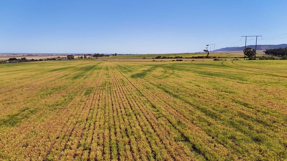 Click to view all images Allotment 78 Augusta Highway Crystal Brook SA 5523 - Image 2